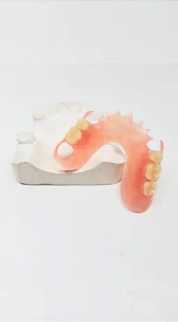 Dentures Plus Dental Lab