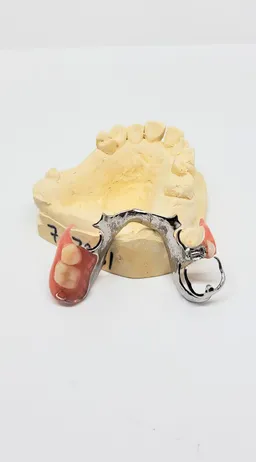 Dentures Plus Dental Lab