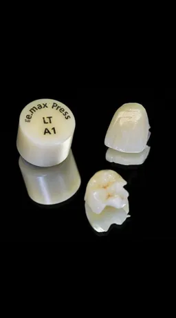 Dentures Plus Dental Lab